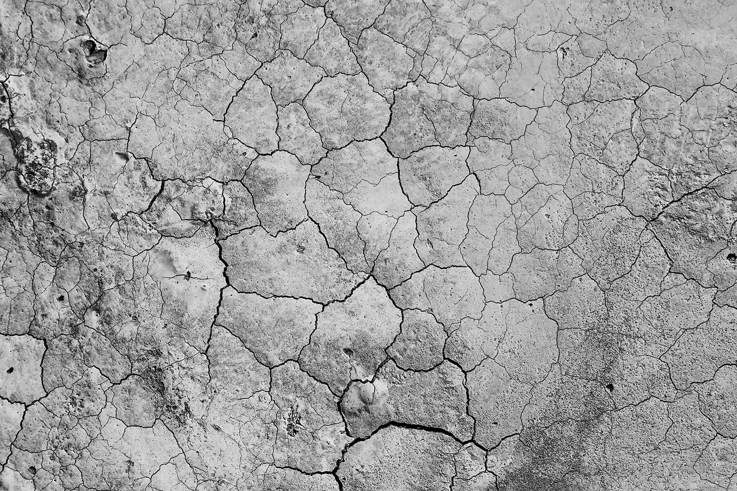 Grey dry cracked earth
